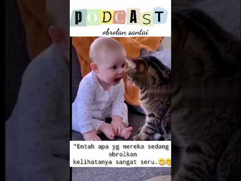 podcast di pagi hari 😁🤭#cat #kucing #funny #shorts