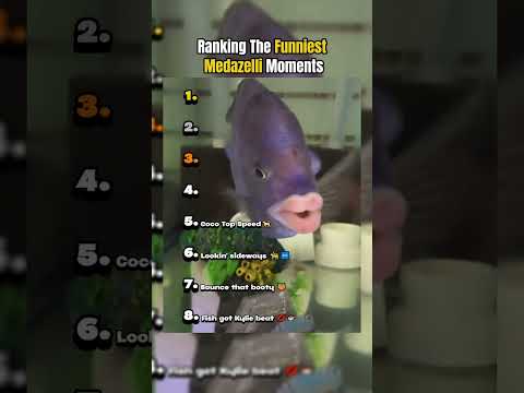 Ranking Funniest Medazelli Moments!