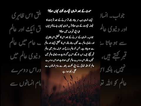 #quotes #poetry #motivation #aqwalezareen #4line #love #shorts