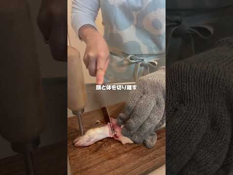 ぬるぬるしてて捌くのむずいあの魚もこうするとカンタン #魚捌き