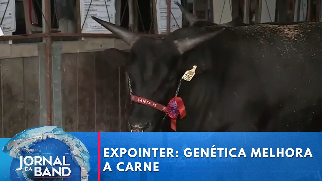 Expointer: genética melhora a carne | Jornal da Band