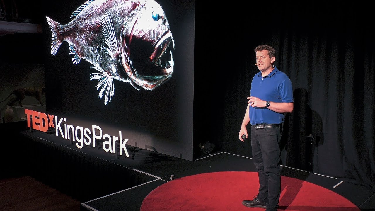 Meet the Mysterious “Monsters” of the Deep Sea | Alan Jamieson | TED