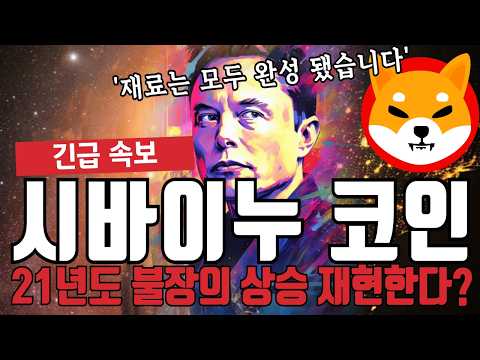 시바이누 코인 21년도 상승 재현 합니다