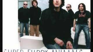 Super Furry Animals - The man don't give a fuck