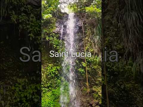 Extraordinary #travel #nature #naturelovers #music #water #waterfall #stlucia #beautiful #shorts