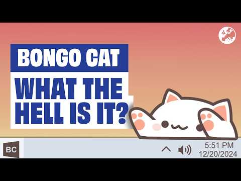 What The Hell Is Bongo Cat?!