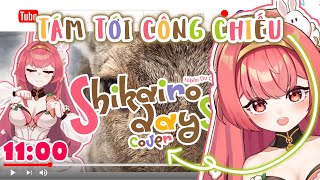 YAPCA CÙNG CHỜ XEM SHIKANOKO NOKONOKO KOSHITANTAN