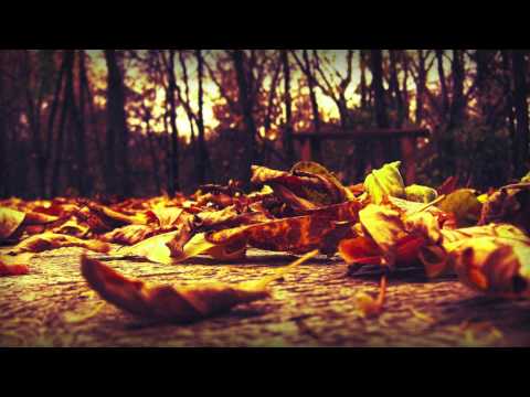 Exist Strategy - Autumn Breeze - UCd3TI79UTgYvVEq5lTnJ4uQ