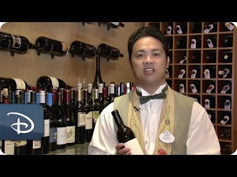 Every Role a Starring Role - Sommelier | Disneyland Resort - UC1xwwLwm6WSMbUn_Tp597hQ