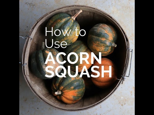 How To Preserve Acorn Squash?