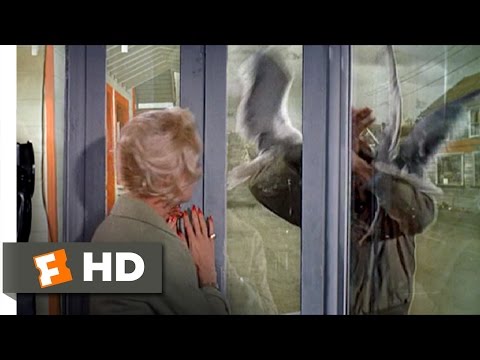 The Birds (8/11) Movie CLIP - Trapped in a Phone Booth (1963) HD - UC3gNmTGu-TTbFPpfSs5kNkg