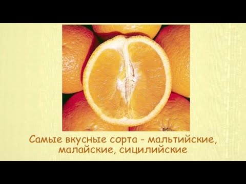 Кулинарная энциклопедия - Апельсин - UC7XBjhXnmmXFsxmnys9PmDQ