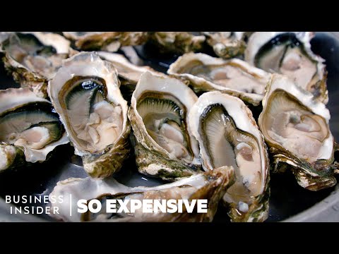 Why Oysters Are So Expensive | So Expensive - UCcyq283he07B7_KUX07mmtA