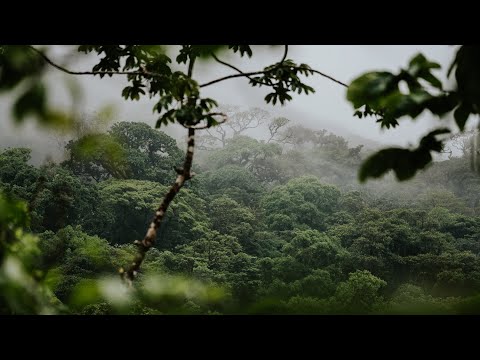 Costa Rica - travel video