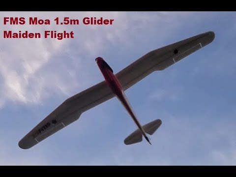 FMS - Moa 1.5m Glider - Maiden Flight in 15-30 MPH Winds - UCVumEMd8O4mN1VwOPwVcLuA