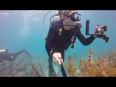 How To Film Steady Underwater - GoPro Tip #300 - UCTs-d2DgyuJVRICivxe2Ktg