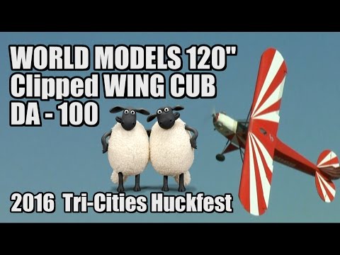 World Models 120” Clipped Wing Cub with DA-100L - UCvrwZrKFfn3fxbkpiSIW4UQ