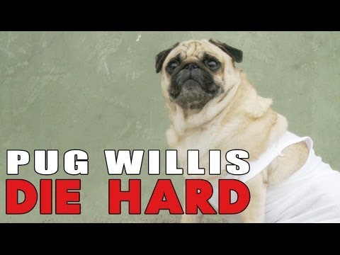 Die Hard With Pugs - UCPIvT-zcQl2H0vabdXJGcpg