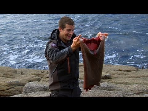 Man vs. Wild - Seal-Skin Wetsuit - UCqOoboPm3uhY_YXhvhmL-WA