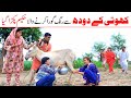 Milk Pack  Ramzi,Noori, Bilo ,Bhootna,Shoki, Sanam, Falak Sher,Funny Video  Rachnavi Tv