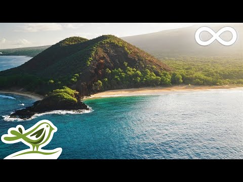 Relaxing Music with Beautiful Nature - Peaceful Piano & Guitar Music by Soothing Relaxation - UCjzHeG1KWoonmf9d5KBvSiw