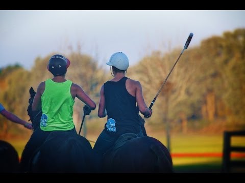 Polo in Argentina (Ch 19) - UCd5xLBi_QU6w7RGm5TTznyQ