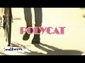 MV เพลง เพื่อนไม่จริง (Forever Mate) - Polycat
