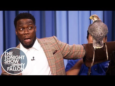 Kevin Hart Is Terrified of Robert Irwin's Animals - UC8-Th83bH_thdKZDJCrn88g