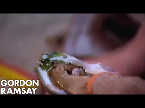 Thai Oysters - Gordon Ramsay's Great Escape - UCIEv3lZ_tNXHzL3ox-_uUGQ