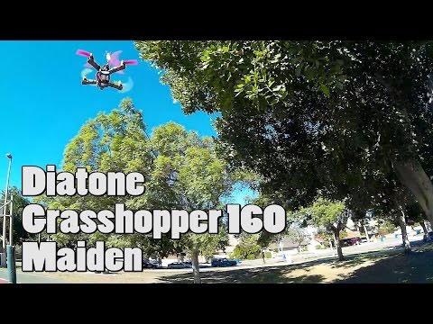 Diatone Grasshopper 160 Maiden - UCnJyFn_66GMfAbz1AW9MqbQ