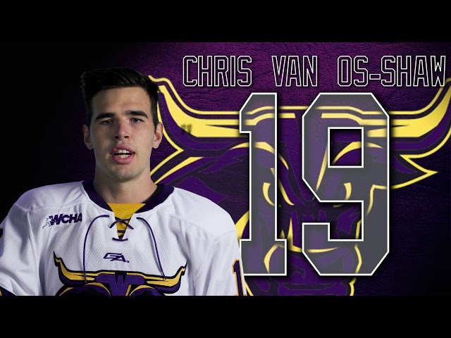 Get to Know the 2018-19 Minnesota State Hockey Roster