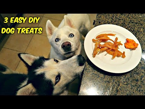 3 Easy DIY Treats for Your Dog - UCe_vXdMrHHseZ_esYUskSBw