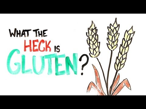 What The Heck Is Gluten? - UCC552Sd-3nyi_tk2BudLUzA