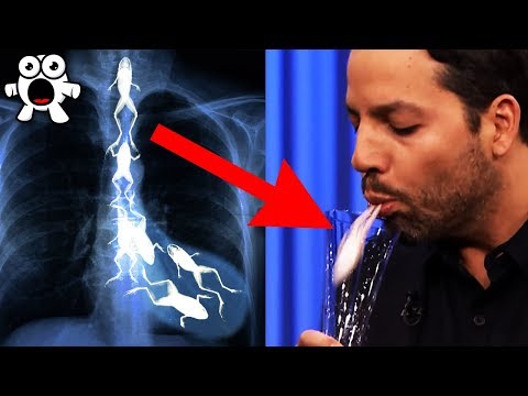 Top 10 Greatest Magic Tricks REVEALED & SECRETS EXPOSED - UCkQO3QsgTpNTsOw6ujimT5Q