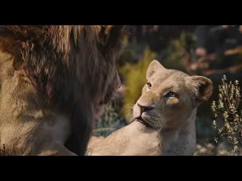 Can You Feel the Love Tonight (From "The Lion King") - UCgwv23FVv3lqh567yagXfNg