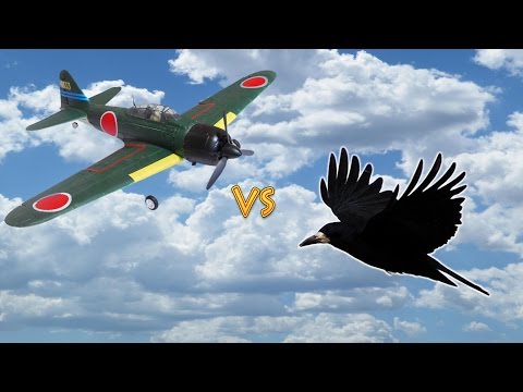 Вороны против Самолёта на радиоуправлении-Ravens against the aircraft radio control - UCmTxglWIunAi6t_ciyB0kkw