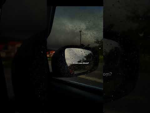 six feet under|Billie Eilish #lyrics