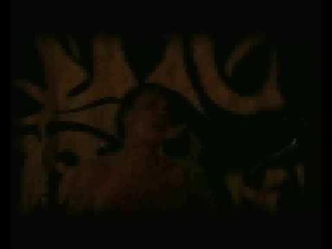 Lunatic Gods - Nation of the Blind