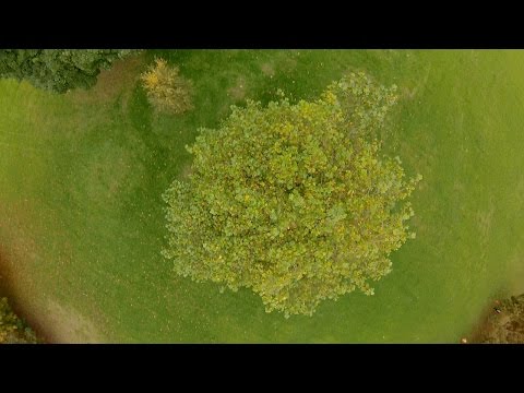 EMAX - NIGHTHAWK - PRO 280 LOW LEVEL - UCbLOqblXNhetJ4mmINDM0Cw