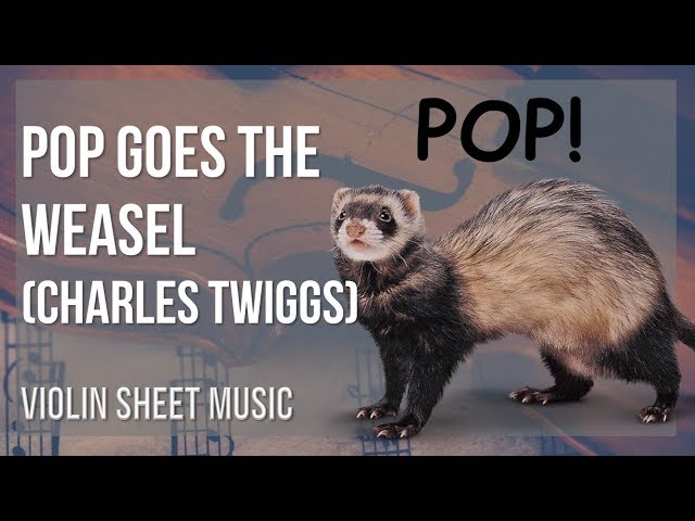 Pop Goes the Weasel – Violin Sheet Music
