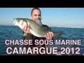 Loup - Chasse sous marine en camargue 2