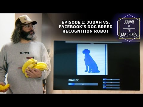 Judah vs. Facebook's dog breed recognition robot - UCCjyq_K1Xwfg8Lndy7lKMpA