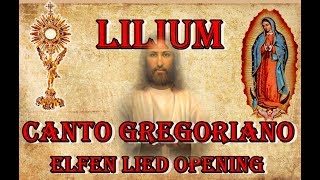 Lilium (Elfen Lied Opening) - Canto (Sub Español)