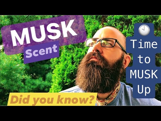 What Does Musk Smell Like?