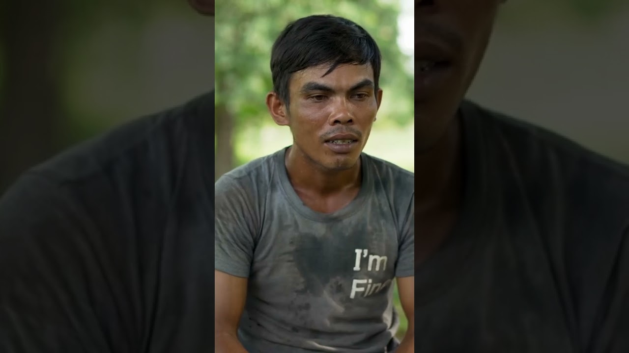 This is the dark truth about rubber. #rubbertree #Cambodia #indigenous #shorts