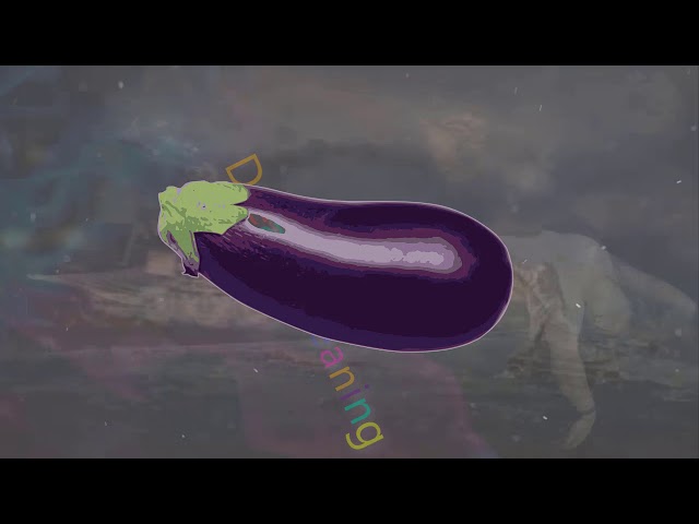 What Does It Mean To Dream About An Eggplant?