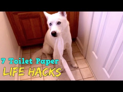 7 Toilet Paper Life Hacks - UCe_vXdMrHHseZ_esYUskSBw