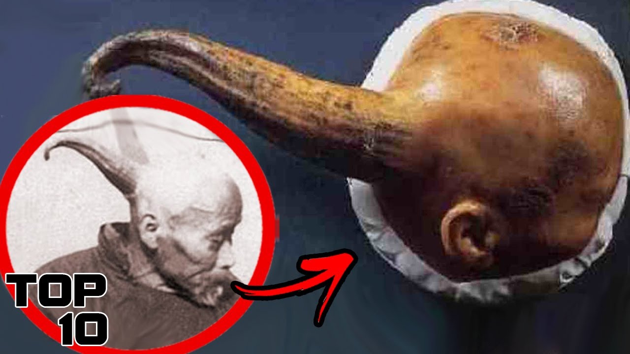 Top 10 Bizarre Discoveries Lost To Time