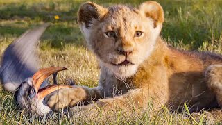 THE LION KING - 6 Minutes Clips + Trailers (2019)