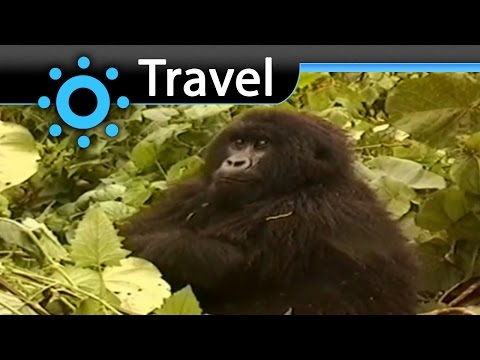 The Virunga National Park Vacation Travel Video Guide - UC3o_gaqvLoPSRVMc2GmkDrg